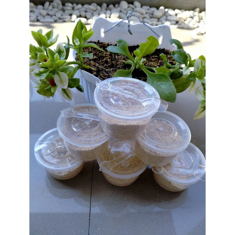 

MAKANAN JADUL.. EMPUT JAGUNG KEMASAN TEPAK MINI