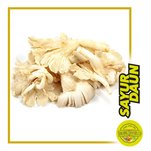 

Jamur Tiram - 250 gr