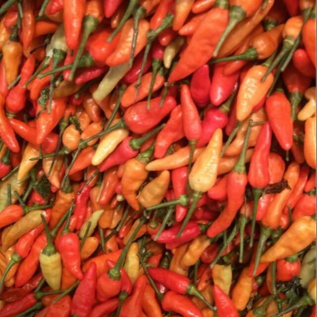 

cabai rawit merah / Rawit setan/ 500 gram