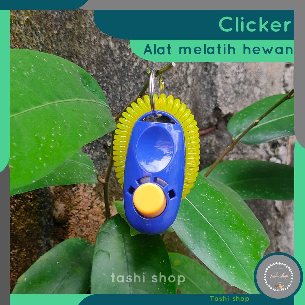 Clicker Alat Melatih Hewan Sugar Glider Anjing Kucing Musang Otter