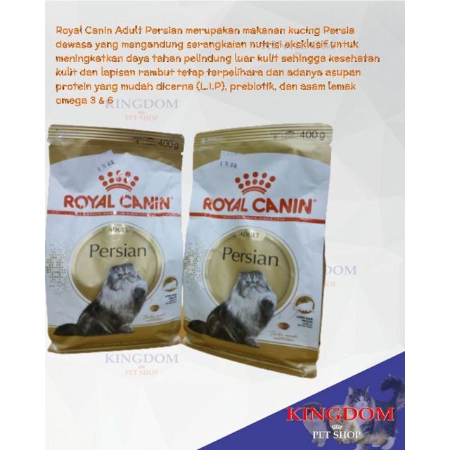 Makanan Kucing Persia Dewasa: Tips dan Rekomendasi