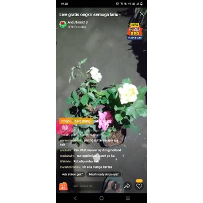 live kak saraspodho baby=3 bigroy  besar 1