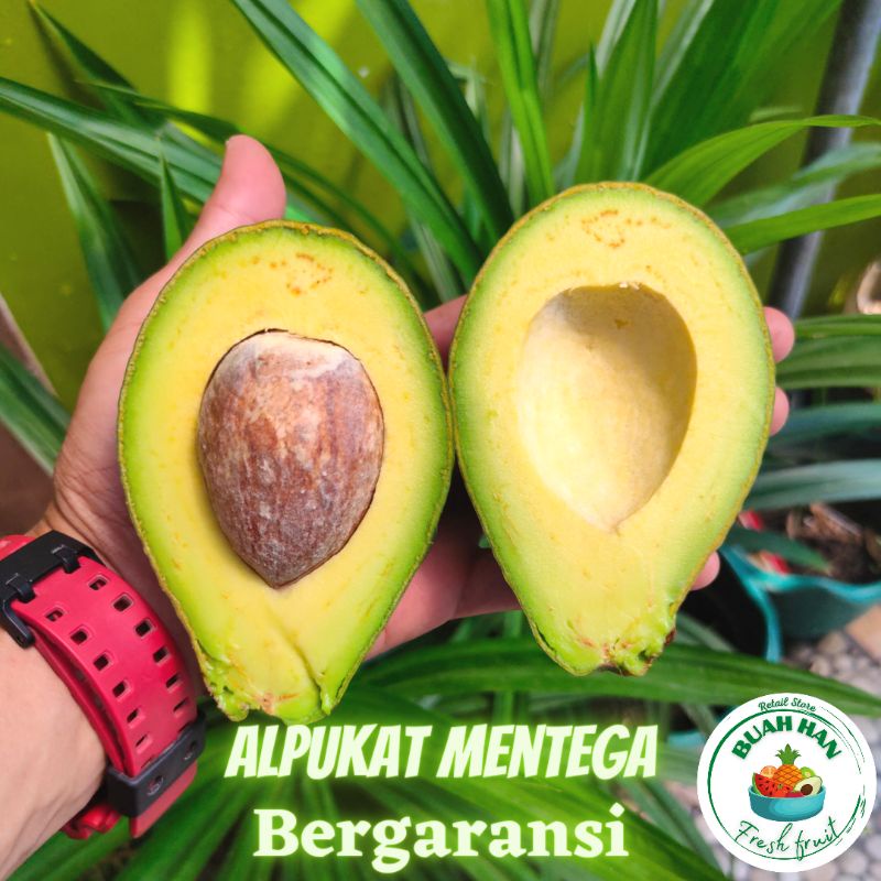 

Alpukat mentega matang super isi 2-3 butir