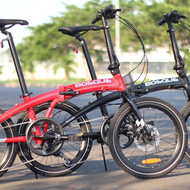 Sepeda Element Bosque