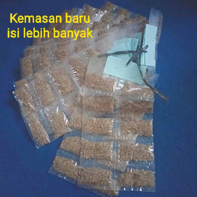 Jintan / jinten