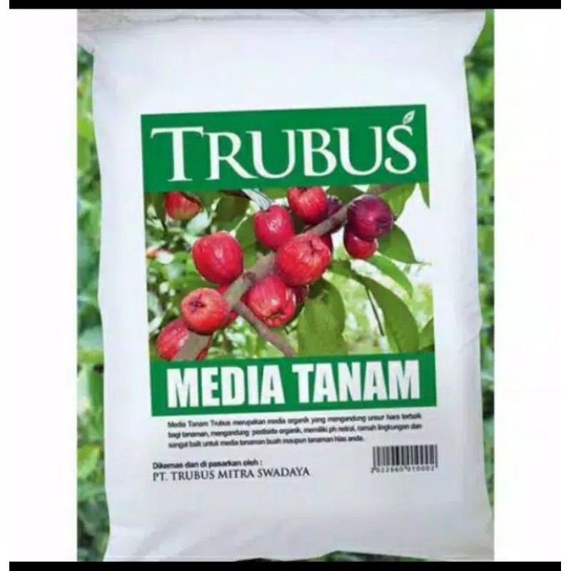 media tanam trubus