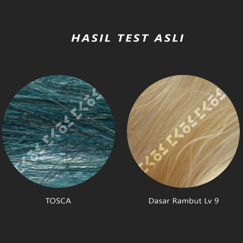 COLORE FRESCO TOSCA  CAT RAMBUT BIRU HIJAU BAHAN DASAR AIR TANPA TAMBAHAN DEVELOPER