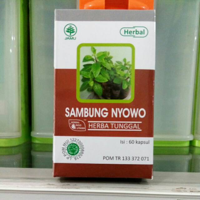 

Sambung Nyowo HIU