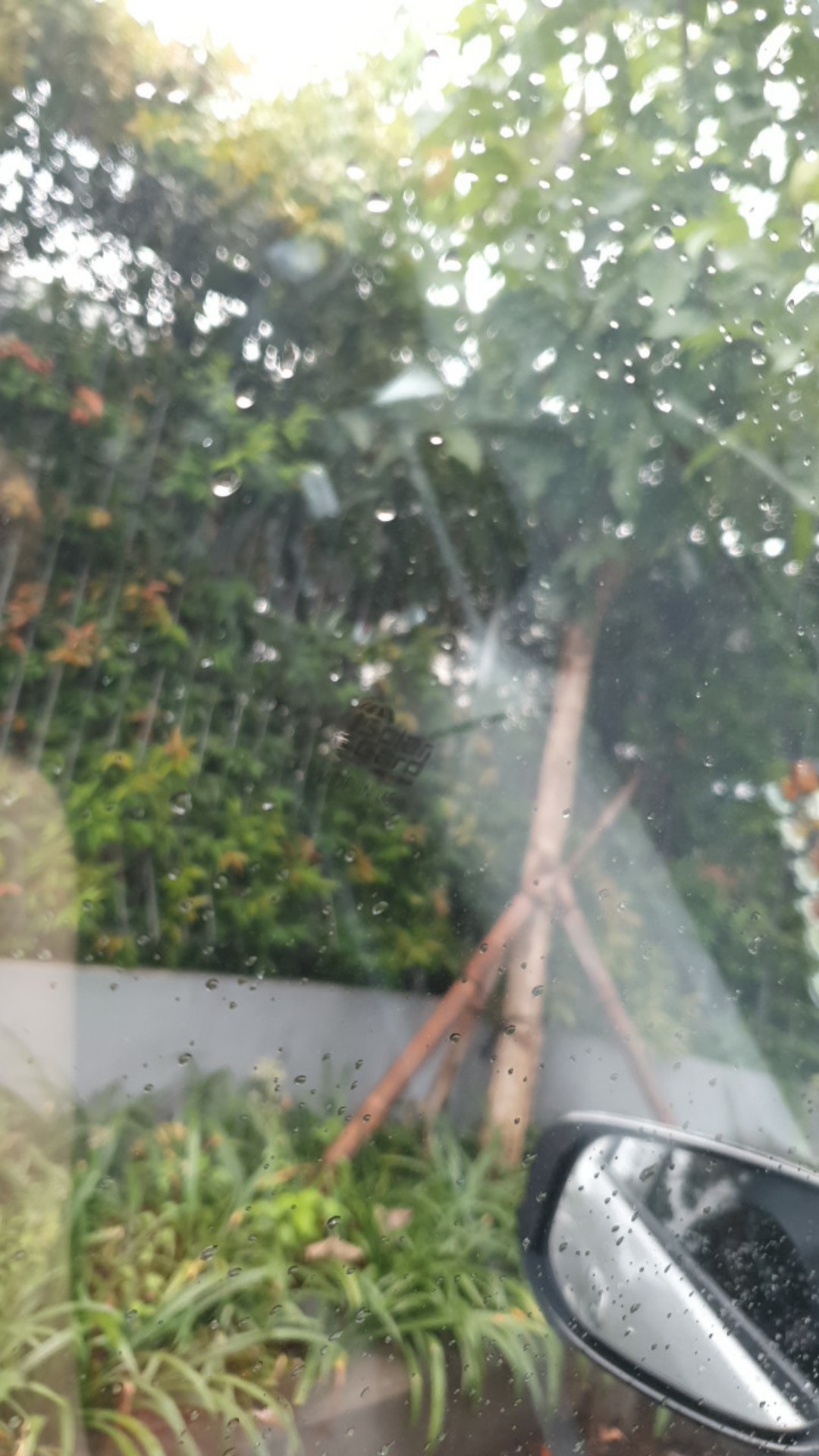 So Klin Liquid 800ml