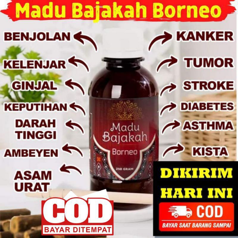 Madu Bajakah Borneo Original Asli Premium Herbal Alami Untuk Pengobatan Obat Kanker Tumor Kista Stroke Asma Asthma Ashma Wasir Diabetes Penyakit Lambung Gerd Maag Kronis Benjolan Axienty Tukak Lambung Dan Penyakit Kronis Lainnya