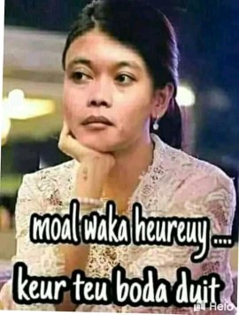 Sd26/3 - Benih Biji Bibit Unggul Kemasan Seribu Bayam Baby Baby Spinach Emilia F1 Import