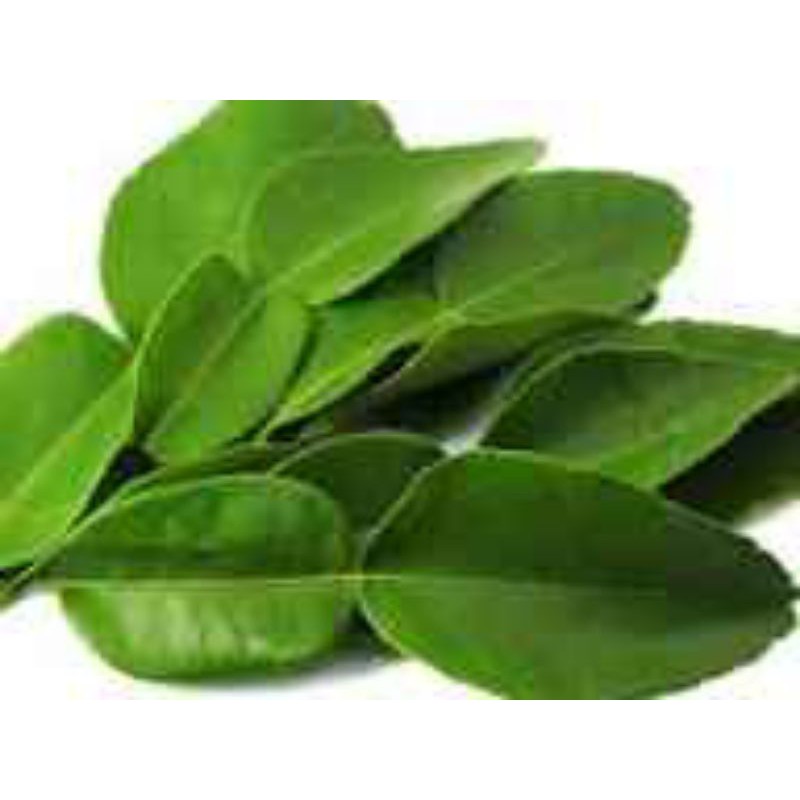 

daun jeruk