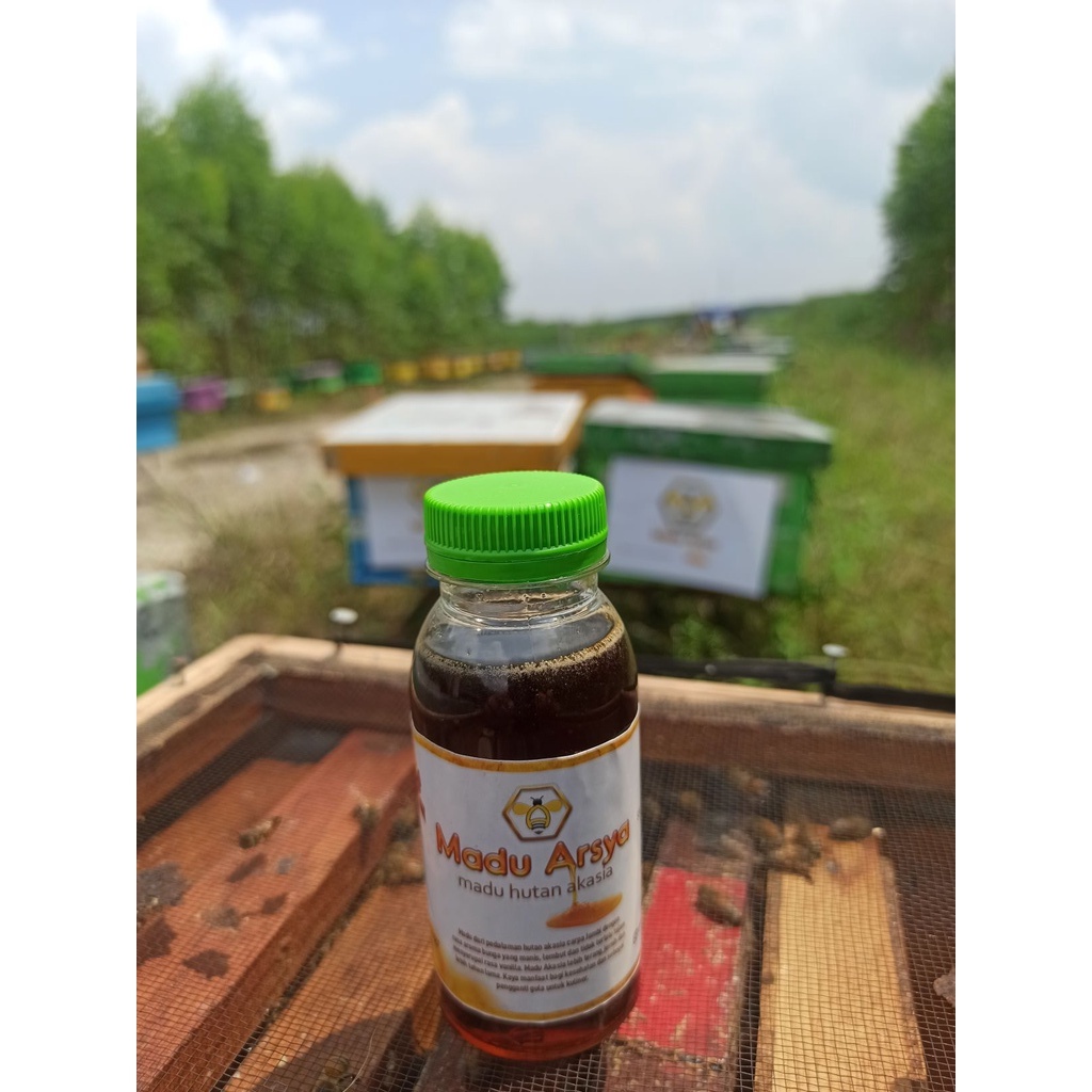 

Madu Murni Asli 100% Arsya 100ml Alami Raw Honey Nektar Akasia Carpa Jambi Sumatera