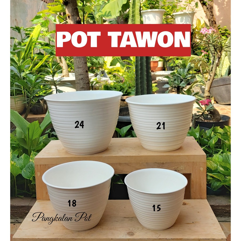  ORI  Pot  Tawon  18 cm Shopee Indonesia