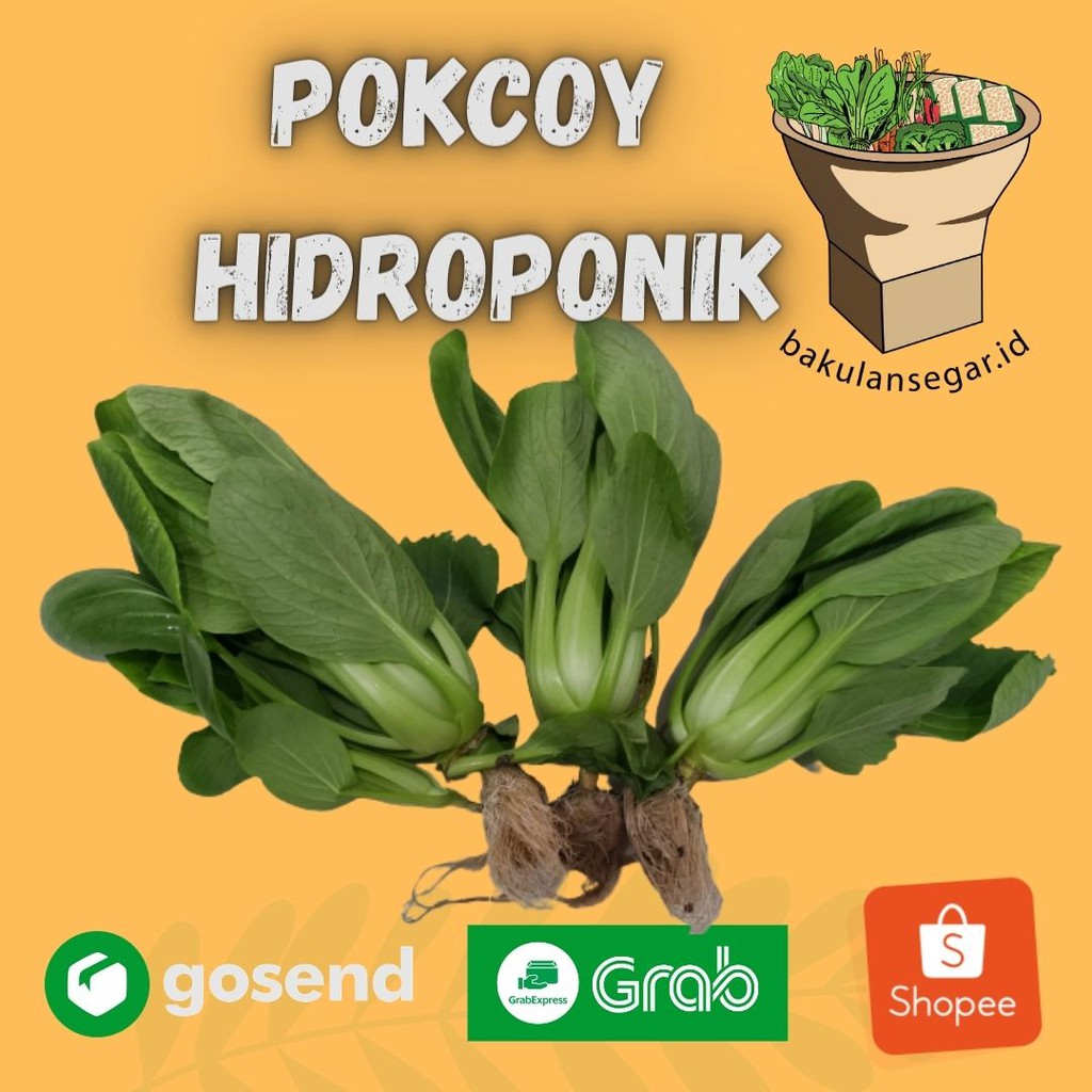 Pokcoy HIDROPONIK (250gram) PROMO DISKON