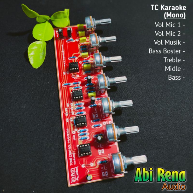 Tone Control Karaoke