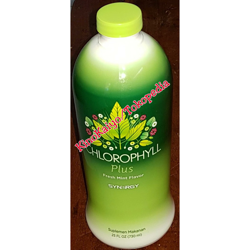 TERMURAH - Synergy- Chlorophyll- Klorofil Plus isi 730ml - Alfalfa Mint