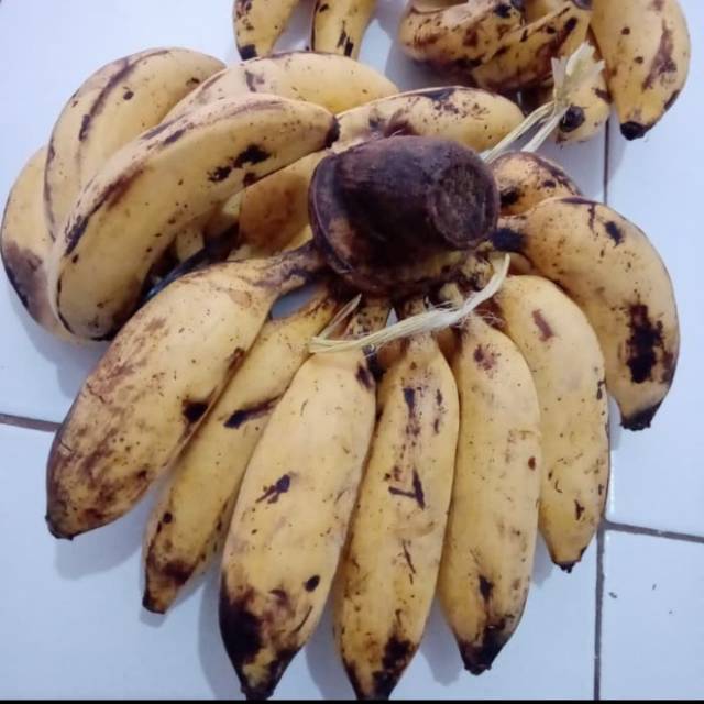 

Pisang Uli 1 sisir / pisang tanduk