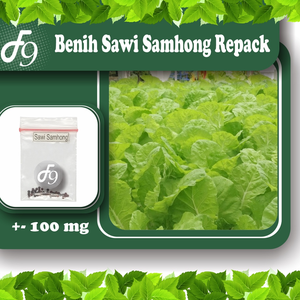 Benih BIbit Sawi Samhong Murah Repack Seribuan