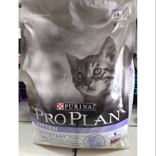 Proplan kitten