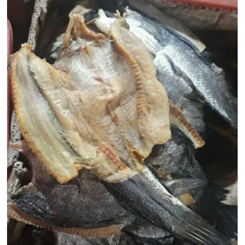 

Ikan Gabus Asin