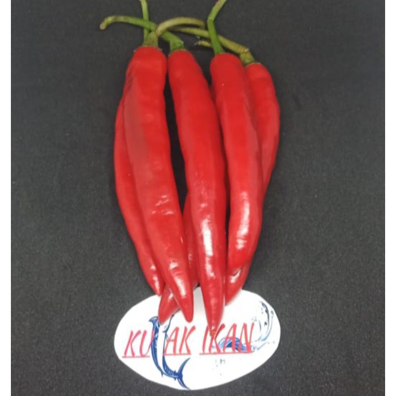 

CABE MERAH BESAR - 150 gr