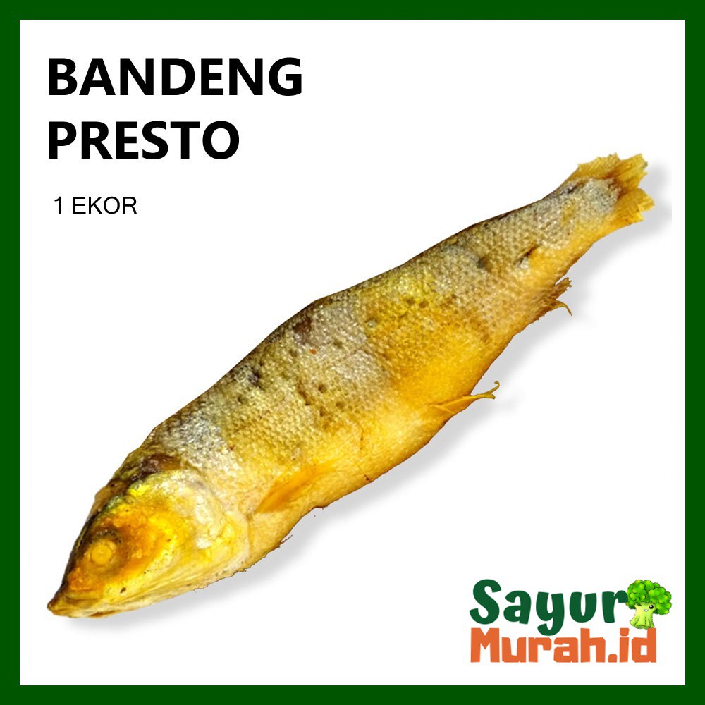 

IKAN BANDENG PRESTO BESAR [1 Pcs ]