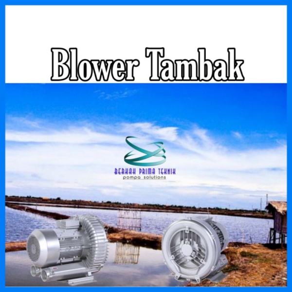 Jual Blower Tambak Udang Blower Kolam Ikan 370W 220V Ring Blower Tambak Limited