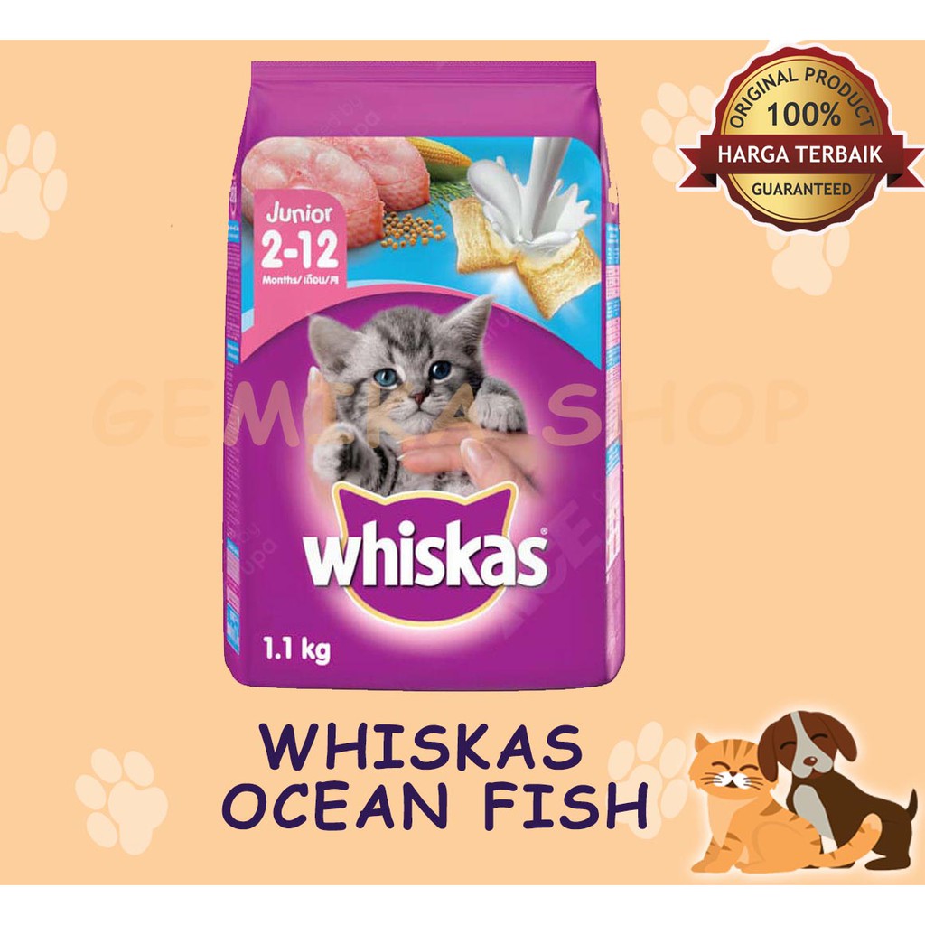 WHISKAS JUNIOR 1.1 KG | MAKANAN KUCING KERING | CAT FOOD