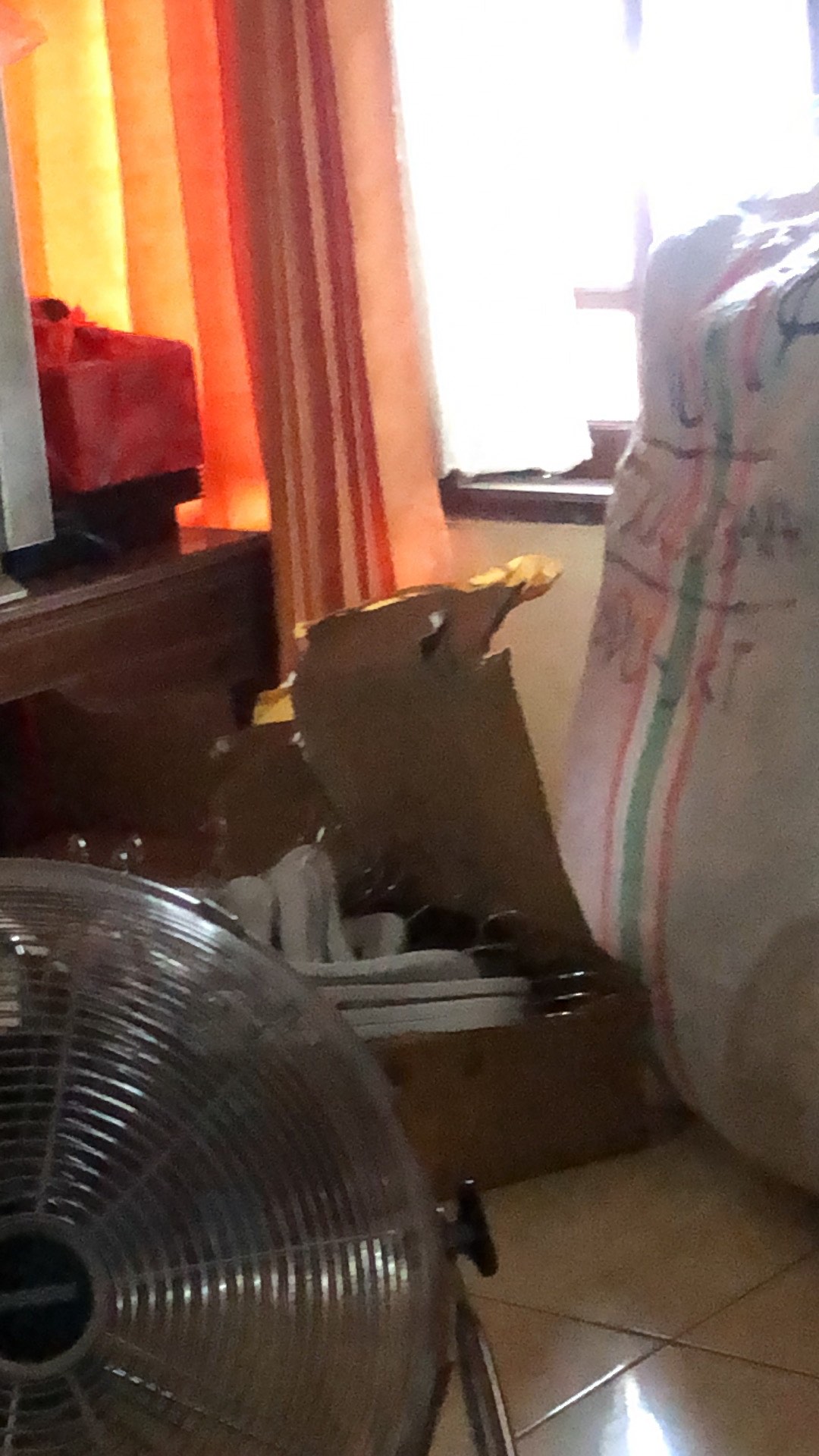 Hanger Kayu Putih Dewasa Mutiara