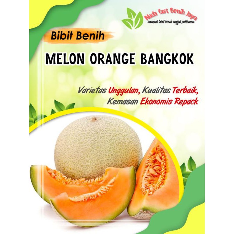 Bibit buah melon orange bangkok isi 4 biji - benih melon orange
