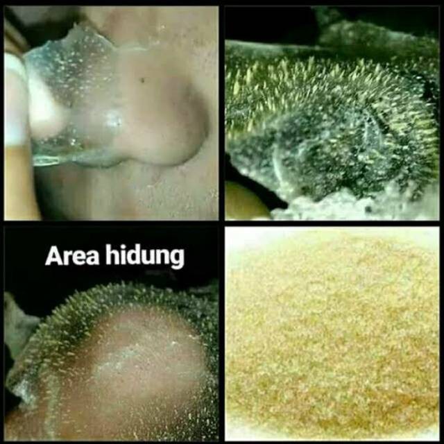 

Masker Gelatin Tulang Sapi Asli + Susu Sapi Asli