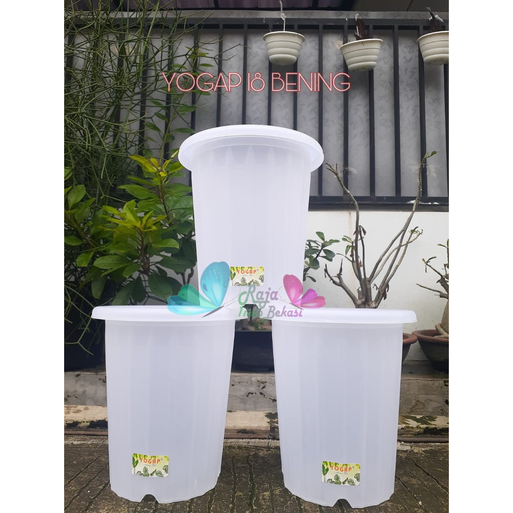 Pot Yogap 18 Transparan Bening Clear Pot Yogap 17 20 Yoga 18 19 25 BENING PUTIH Tinggi Tebal Murah