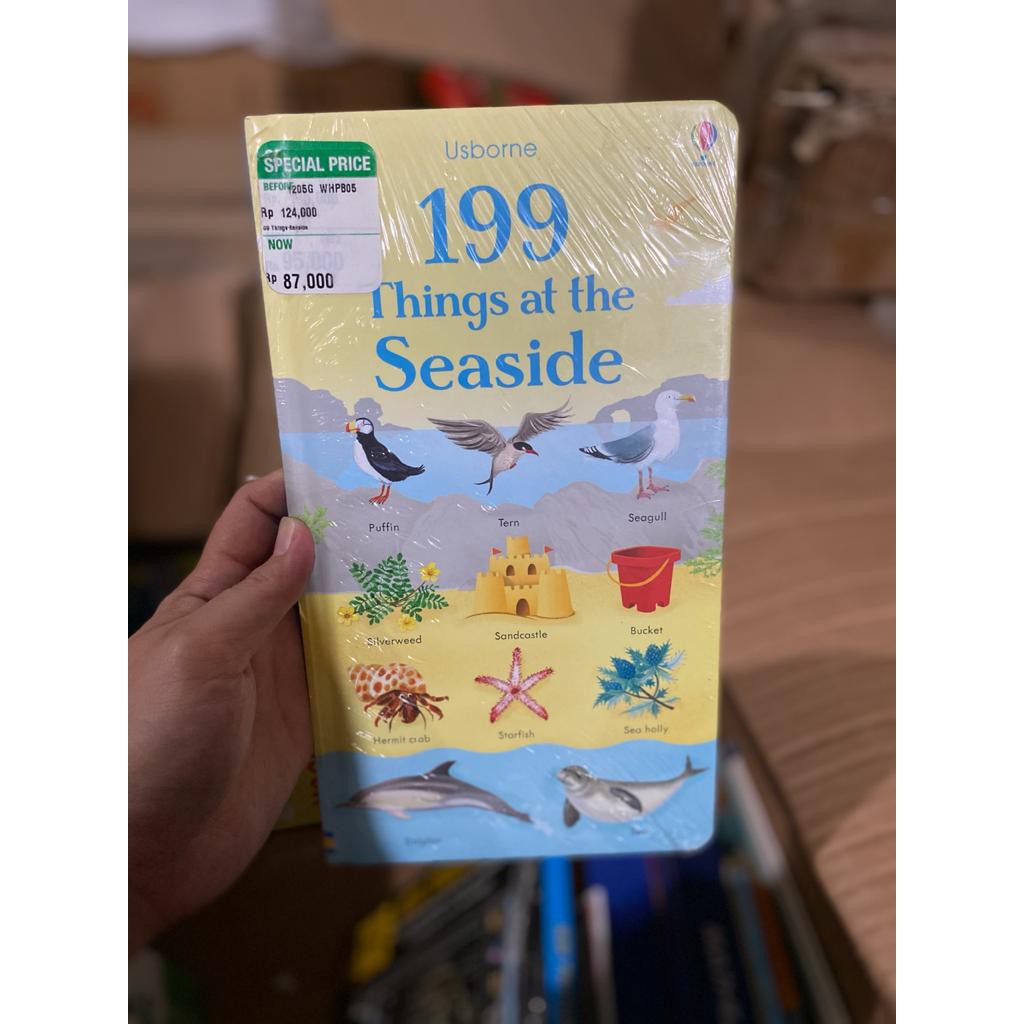 Usborne 199 Things at the Seaside buku bbw buku anak-anak