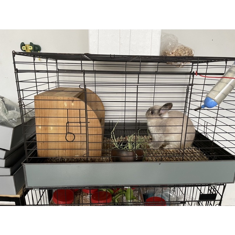 kandang kelinci besar (galvanis)