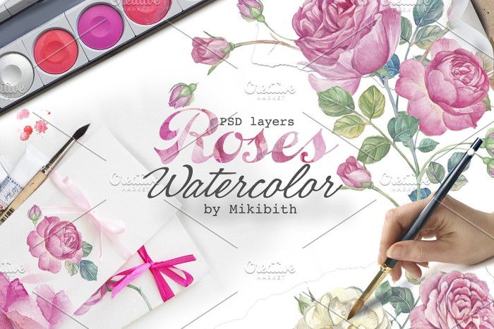 Hand Drawn Watercolor English Roses - Vector Designs