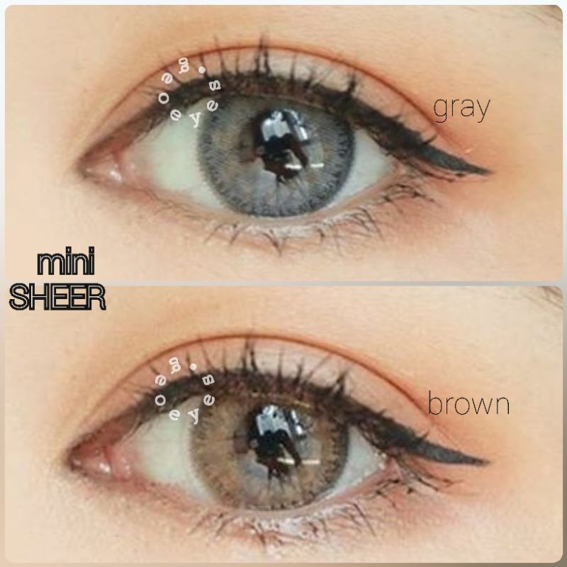 Softlens Mini Sheer Kitty Kawaii