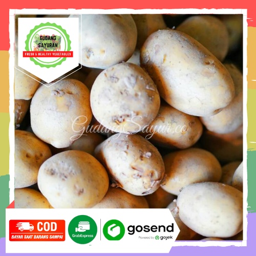 

Kentang Dieng jumbo Super 500 gr
