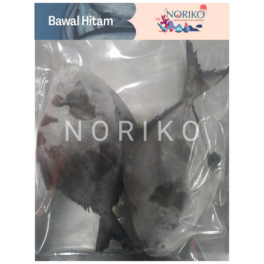 

Ikan Bawal Hitam Frozen Premium 1 Kg