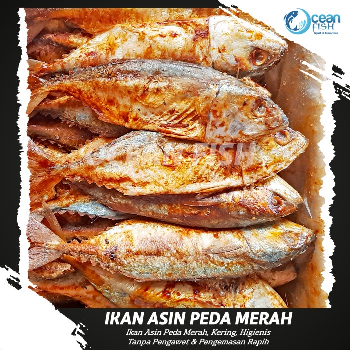 

Ikan Asin Peda Merah - Ikan Asin Peda Merah Tanpa Pengawet - Ikan Asin Premium Peda Merah