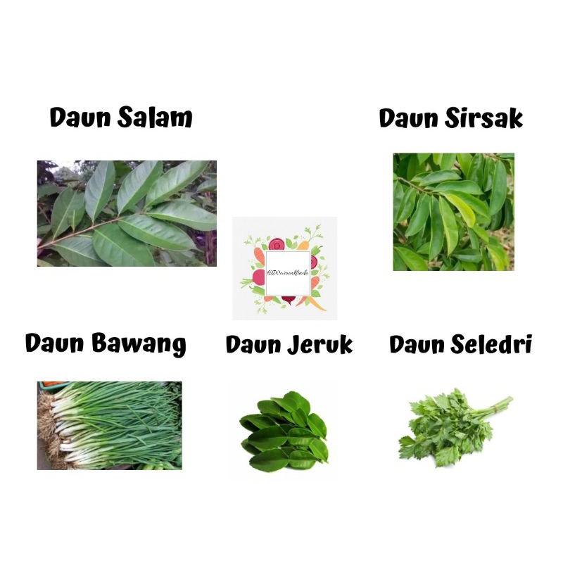 

DAUN SALAM / DAUN BAWANG / DAUN JERUK / DAUN SELEDRI / DAUN SIRSAK SEGAR PER 250GRAM