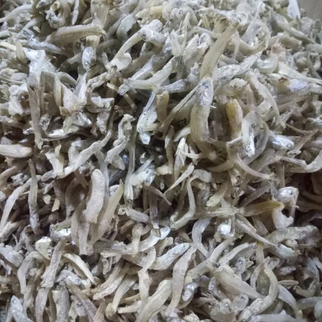 

Teri medan buntiaw