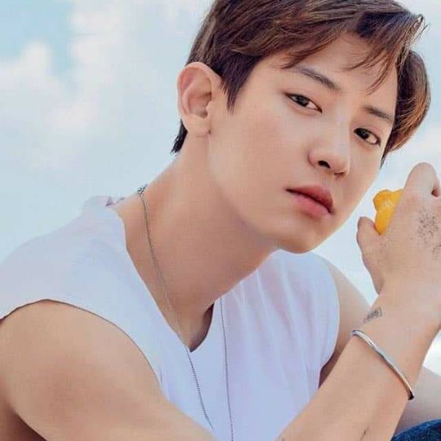 8w05ub2zc7q47qu2__gvwivdgqsi