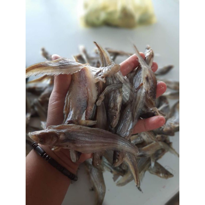 

ikan asin lais kecil