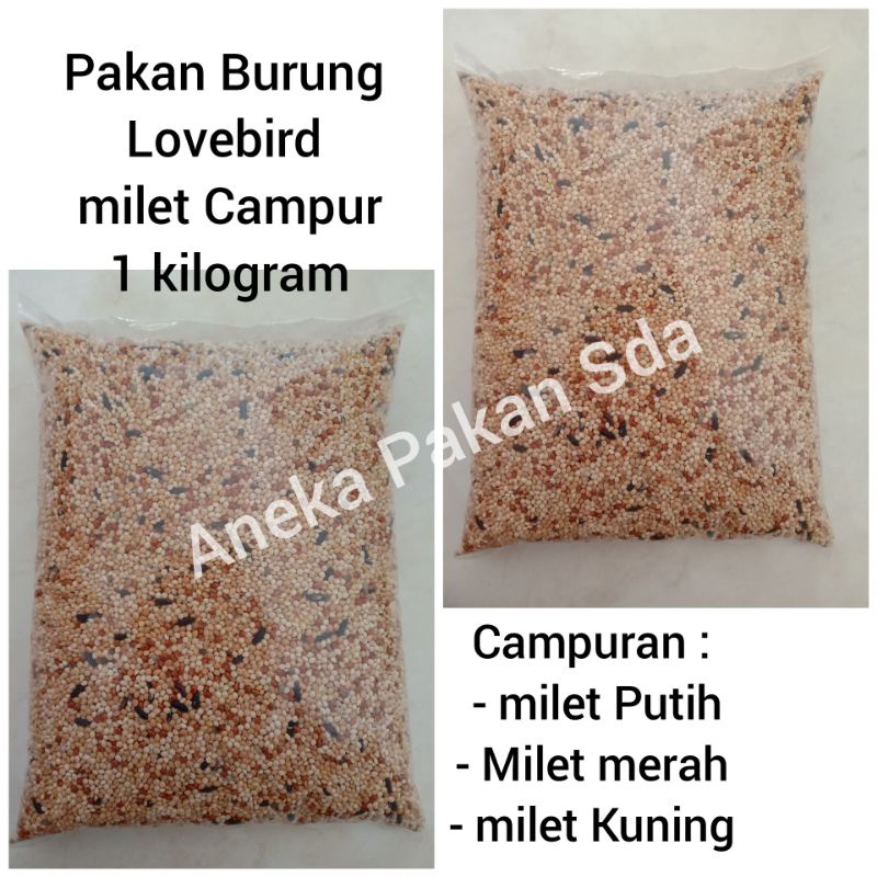 Pakan Burung Lovebird Millet Campuran ( Millet putih, merah, kuning)