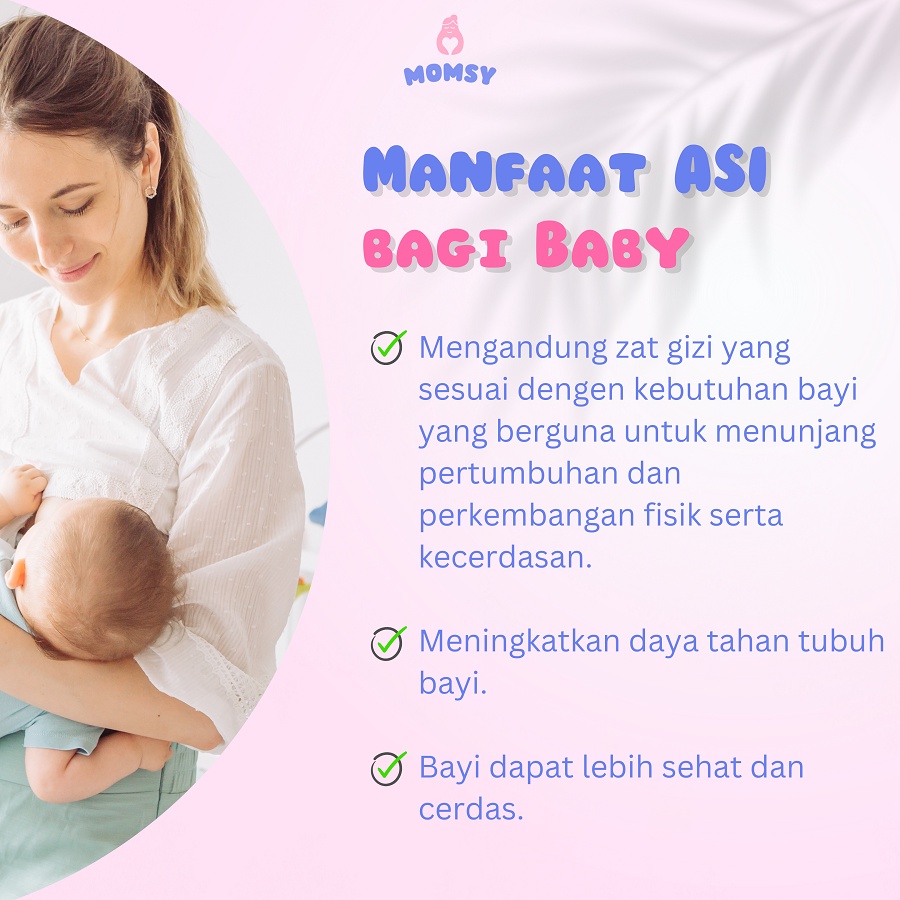 Asi Booster Pelancar Asi MOMSY - 10 Momsy PREMIUM SHOPPING OFFICIAL STORE SHOP