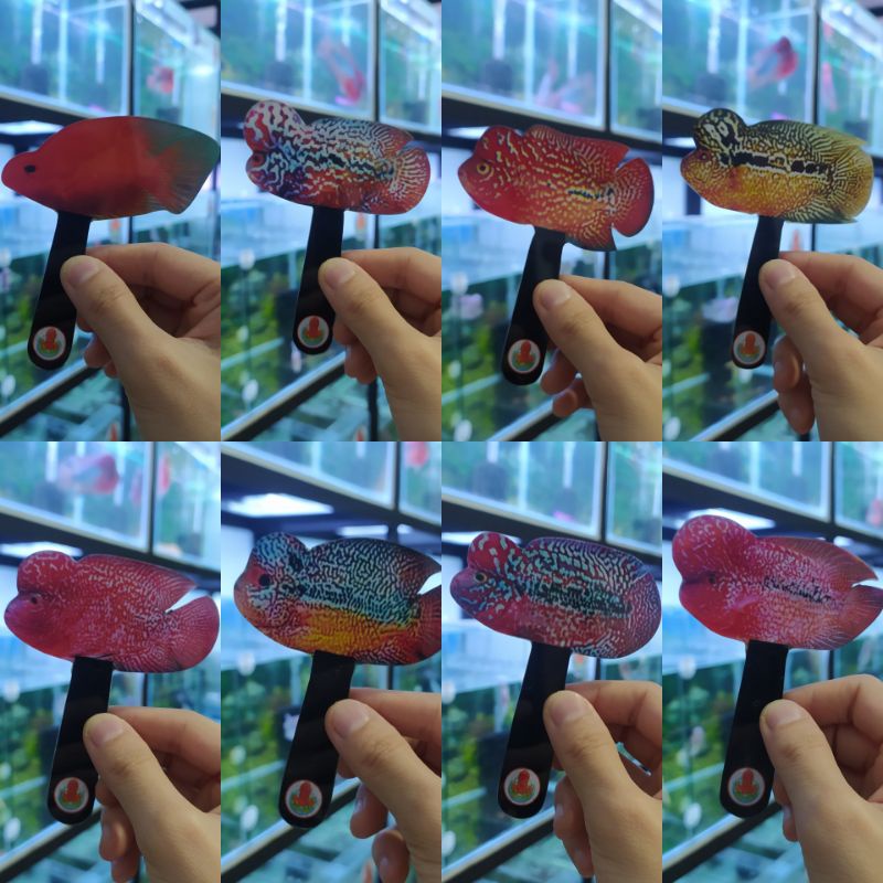 Wayang Ikan Louhan 8cm x 10cm Acrylic Dua Sisi (Bahan Tebal) Mainan Flowerhorn Untulan Perrot