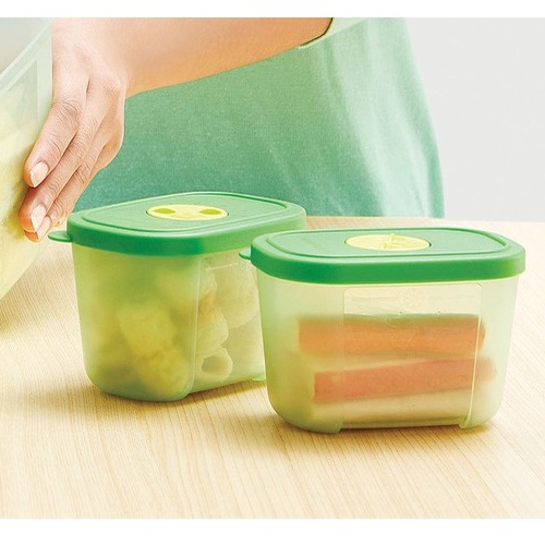 Tupperware Diskon Sale  Mini Freezermate with Dial (2) Penyimpan Daging Kotak Penyimpan Daging di Fr