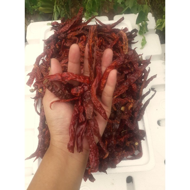 

Cabe Kering Teja 100 gram