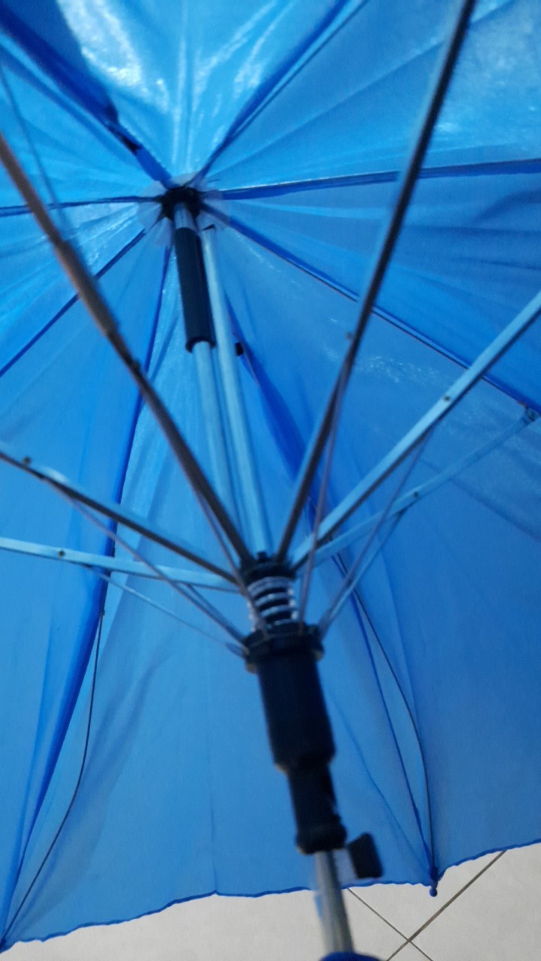 Payung Anak [ada Kuping] Model Hewan Warna-warni Lucu